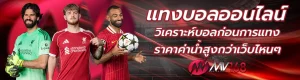 เว็บmv168